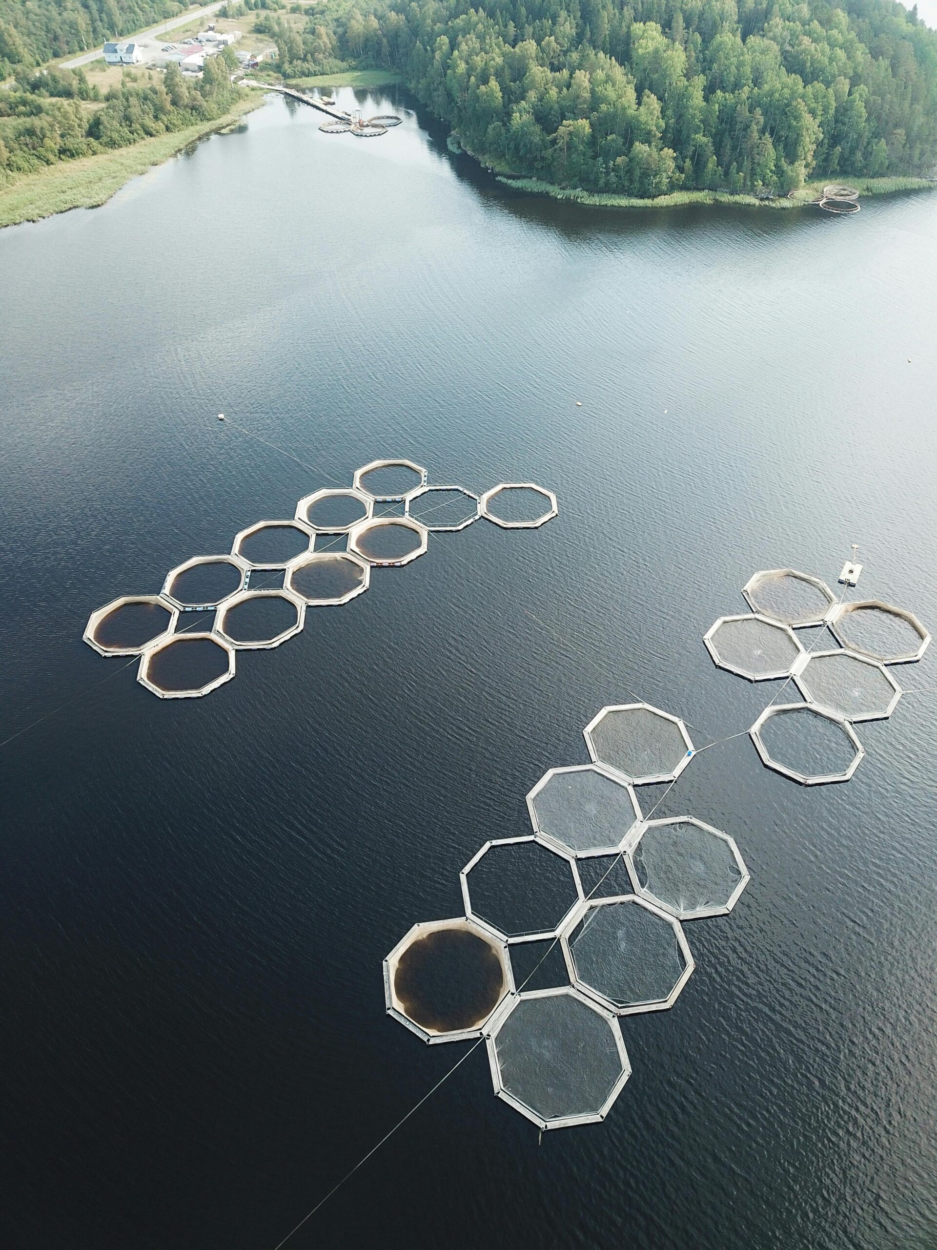 Aerial shot showcasing geometric octagon fish pens in a serene lake setting, surrounded by lush greenery.